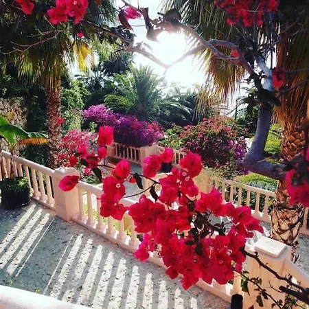 Kas, Kalkan, Club Patara Tatil Koeyuende