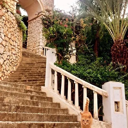 Kas, Kalkan, Club Patara Tatil Koeyuende Villa
